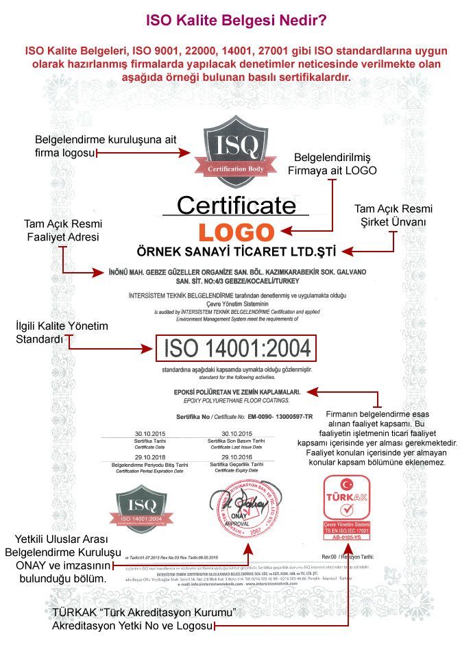 Belge İsmi